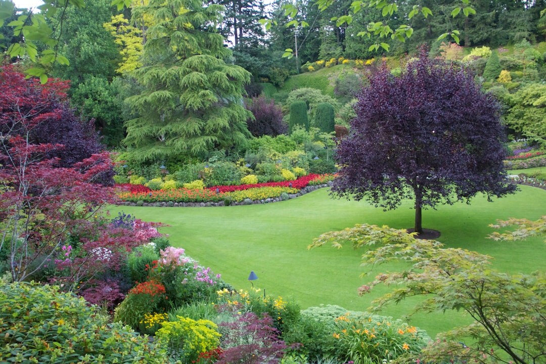 celebrity home garden view