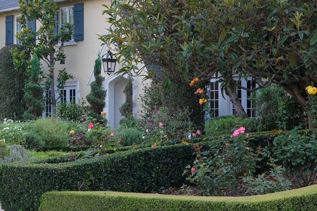 luxury home garden